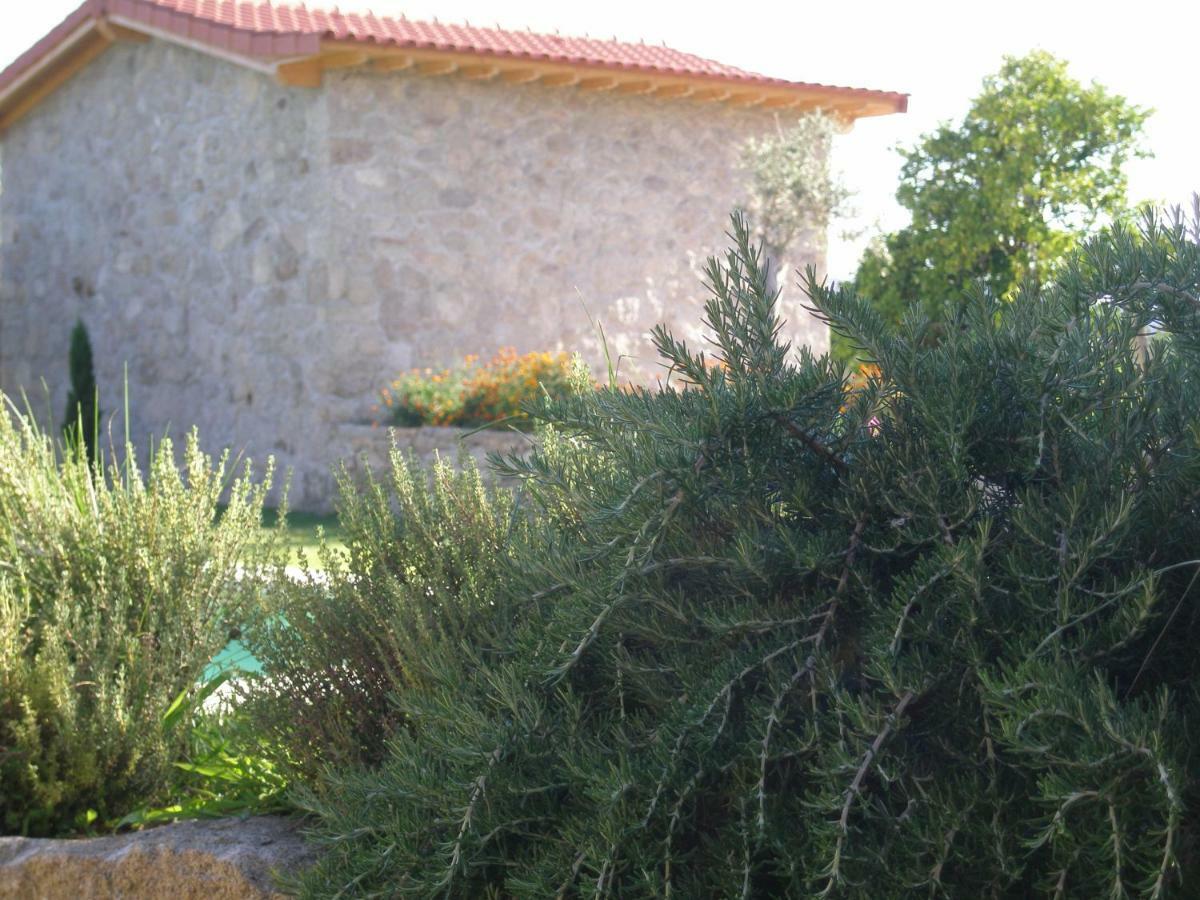 Eido Da Portela - Casa De Campo Carregadouro Dış mekan fotoğraf